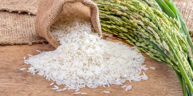 Tips Memulai Usaha Jual Beras Bagi Pemula