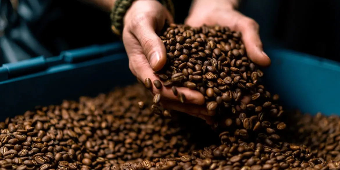 10 Jenis Kopi Indonesia Yang Paling Populer 10 Jenis Kopi Indonesia Yang Paling Populer