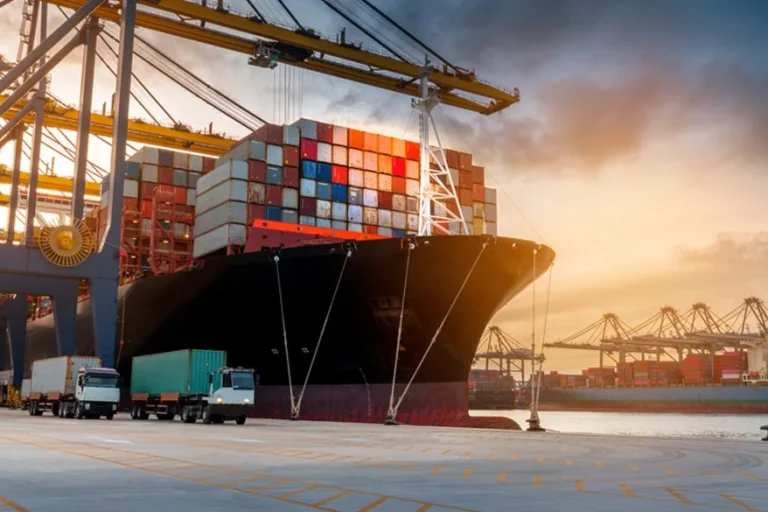 Perbedaan Freight Forwarder Dan Shipping Line